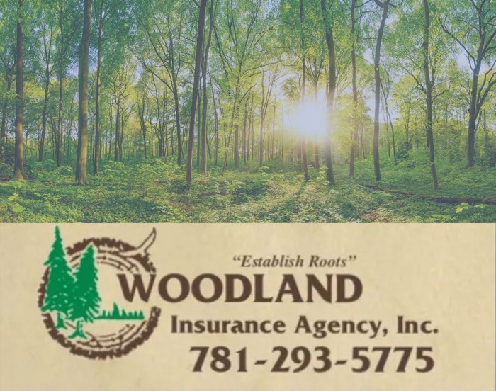 Woodlands insurance logo company